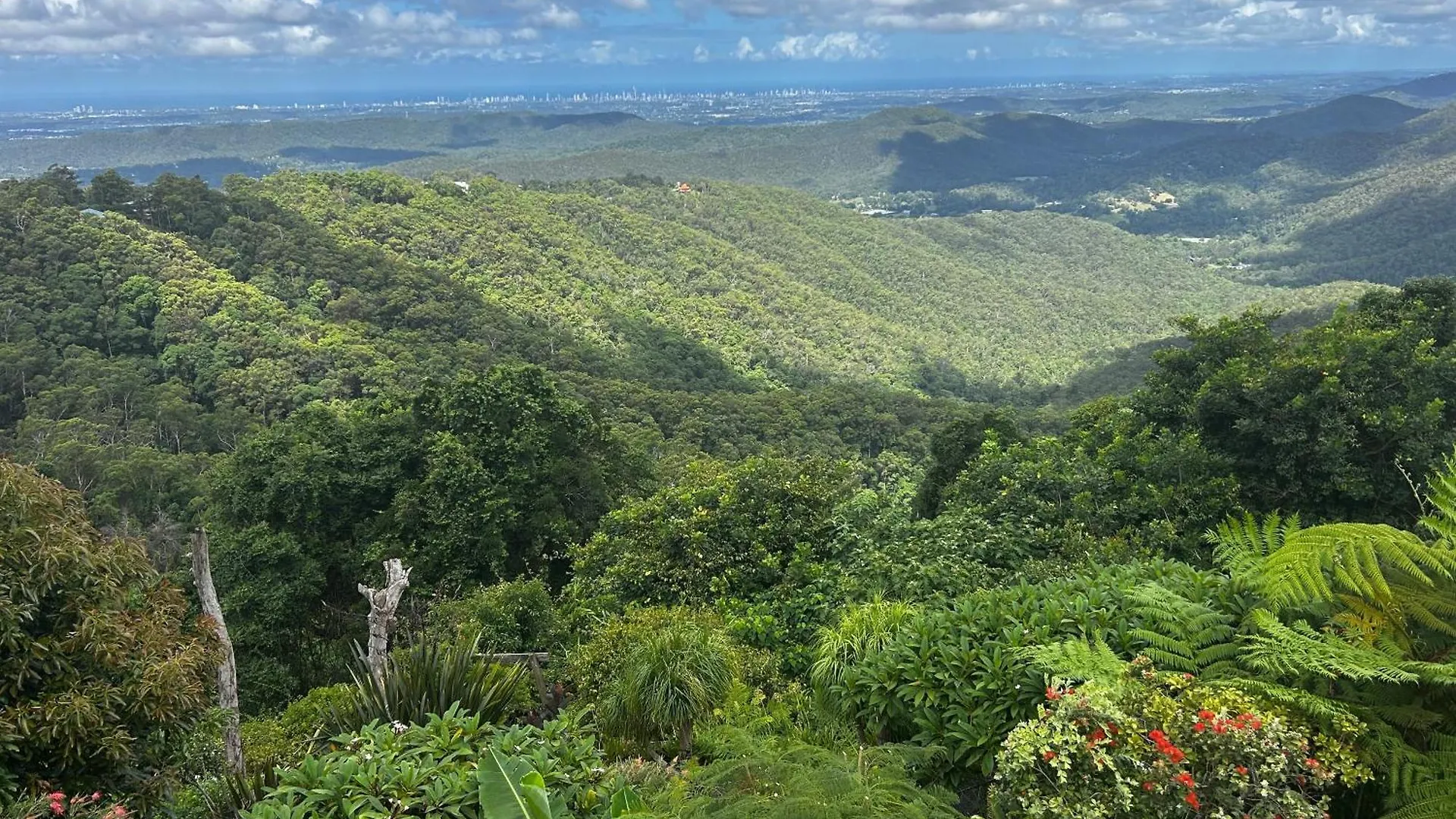Green Cauldron, Homestay, Tamborine Mountain, Private Room, Ensuite, Private Courtyard, Gold Coast Views contacts